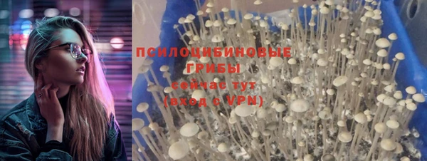 ешки Рославль